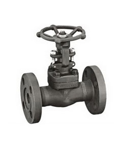 Forged Gate Valve with Flanged 900～2500Lb